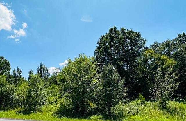 13877 Old Hickory Blvd - Photo 1