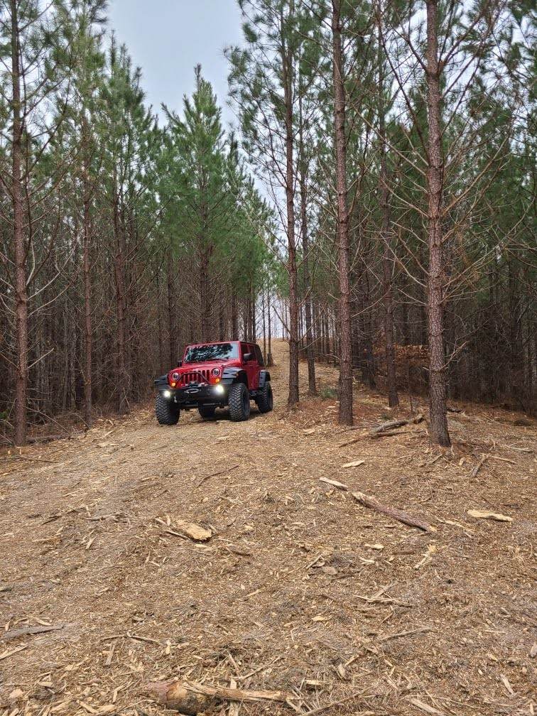 230 Juniper Dr - Photo 1