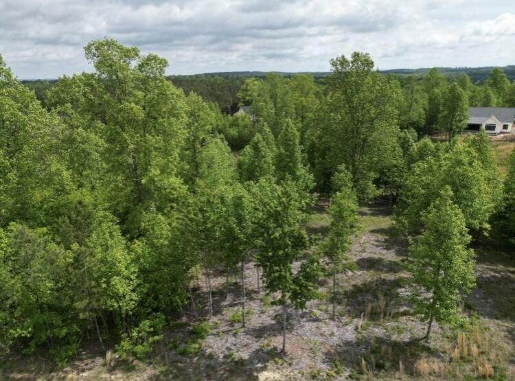 260 Cherokee Path - Photo 1