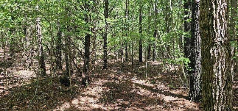 0 Sunset Rd - Photo 1