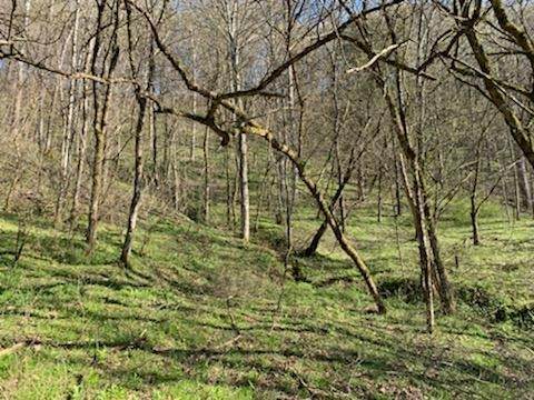 https://bt-photos.global.ssl.fastly.net/nashville/orig_boomver_1_RTC2888896-1.jpg