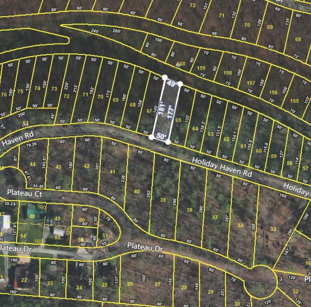 0 Holiday Haven Rd - Photo 1