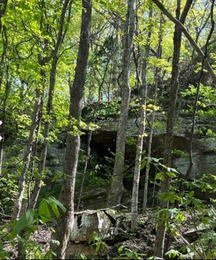 0 Sheep Bluff Road - Photo 1