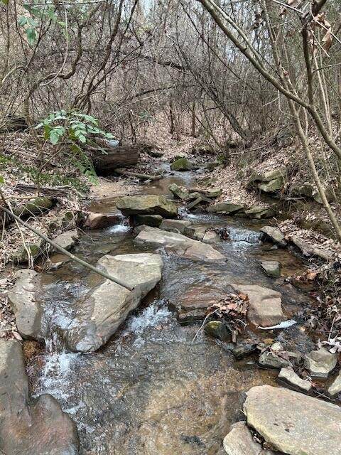 1007 Evanwood Drive - Photo 1