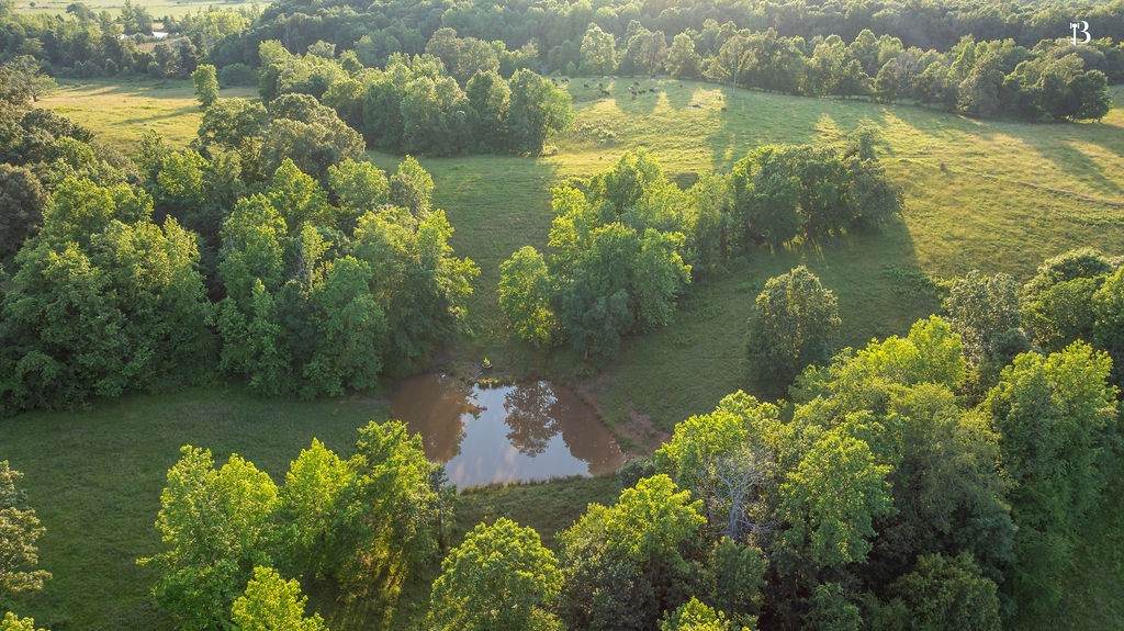https://bt-photos.global.ssl.fastly.net/nashville/orig_boomver_1_RTC2920461-1.jpg