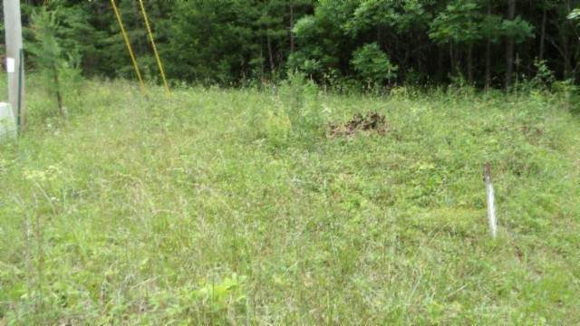 0 Parkstown Ext Rd - Photo 1