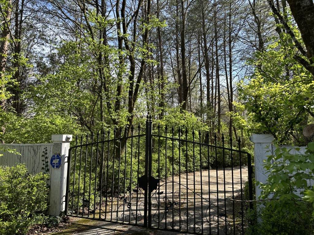9665 Split Log Rd - Photo 1