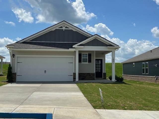 6482 Japonica Lane - Photo 1