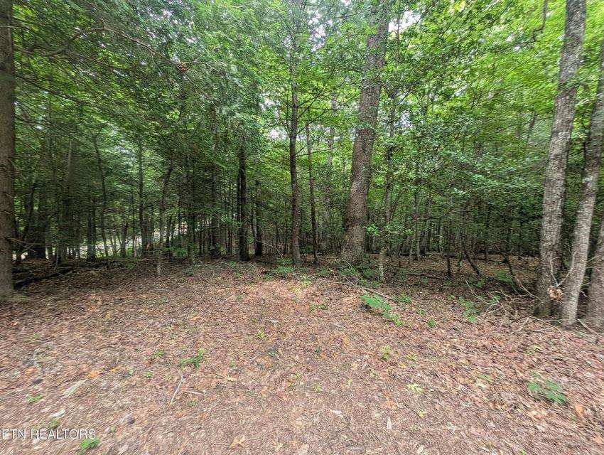 0 Model Farm Rd - Photo 1