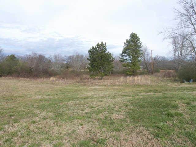 0 Community Rd - Photo 1