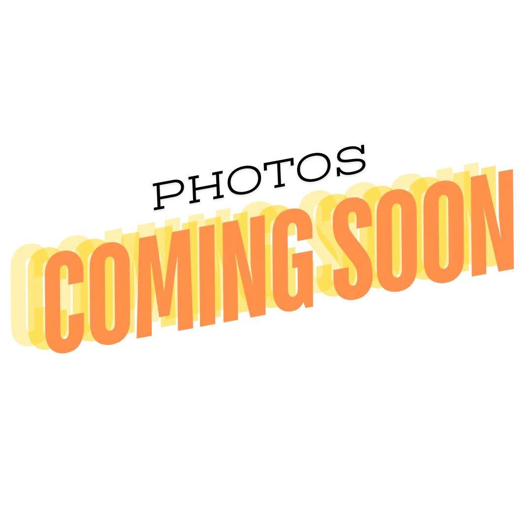 339 Lake Court Dr - Photo 1