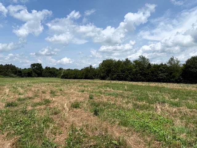 0 Caney Branch Rd - Photo 1