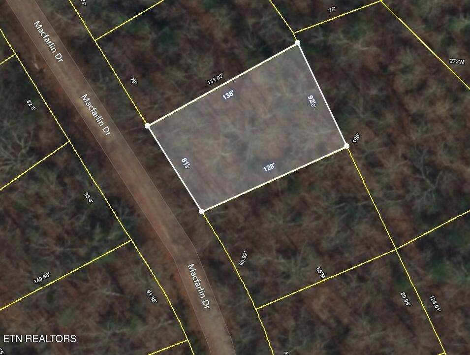 119 Macfarlin Drive - Photo 1