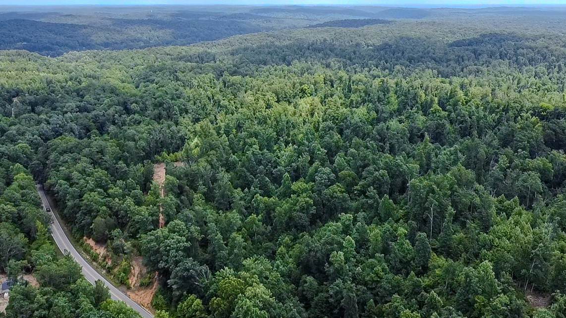 0 Buckfork Road - Photo 1