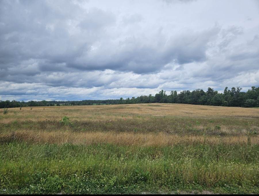 0 Jacksboro Trail - Photo 1