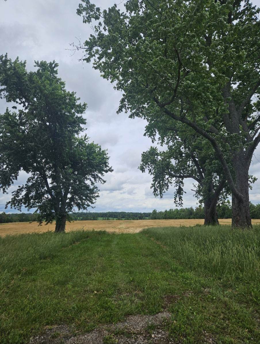 0 Jacksboro Trail - Photo 1