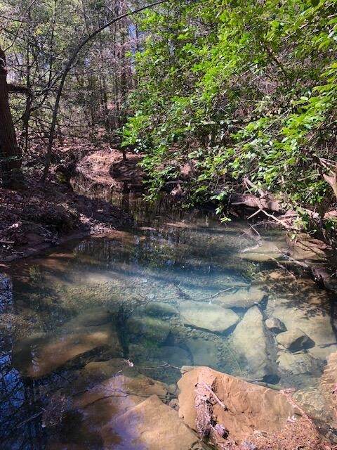 0 Sullivan Mill Lane - Photo 1