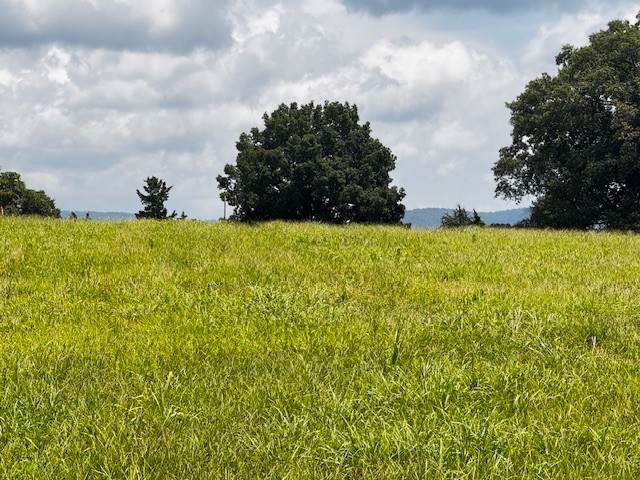 0 Old Holders Cove Rd - Photo 1