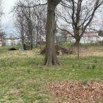 1212 E Church St - Photo 3