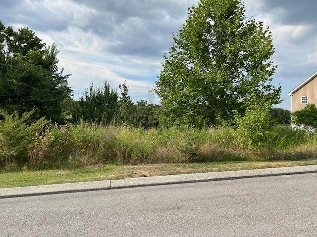 21362124 Short Leaf Lane - Photo 1