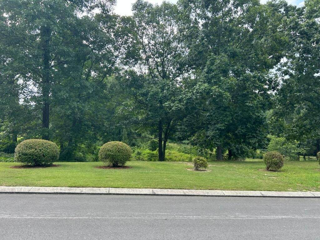 0 Fieldstone Drive - Photo 1