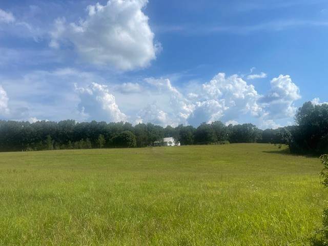 0 Tennessee Ridge Road - Photo 1