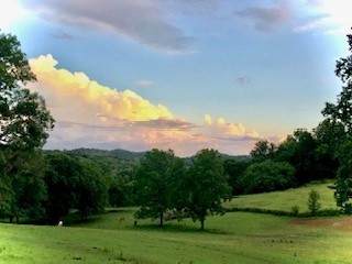 6628 Bethesda Arno Rd - Photo 1