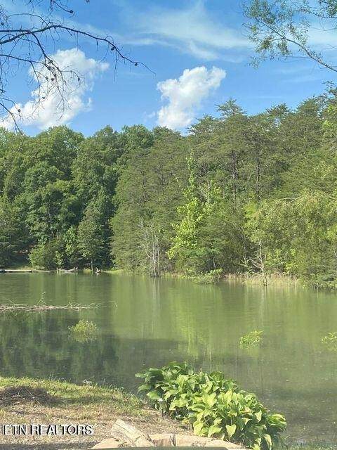 936 Pleasure Rd - Photo 1