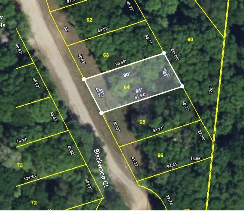 64 Blackwood Dr - Photo 1