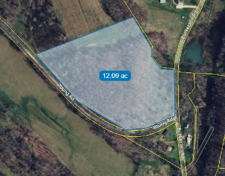 12A Bunker Hill Road - Photo 1