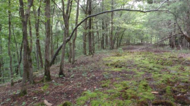 0 Old Hwy 53 S - Photo 1