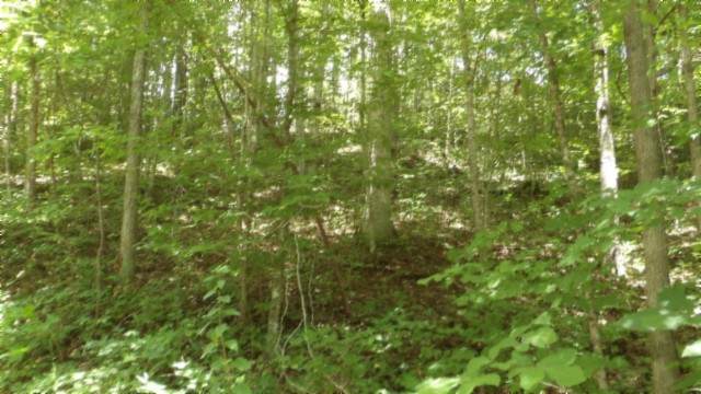 4364 Livingston Hwy - Photo 1