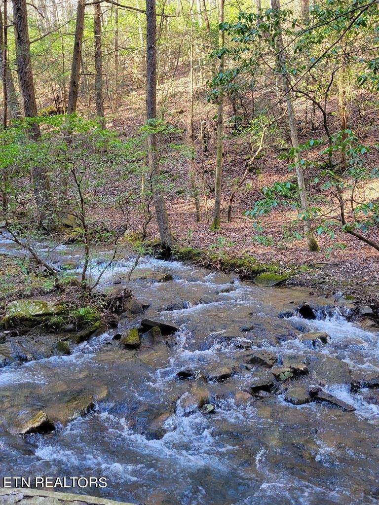 0 Tall Tree Tr - Photo 1