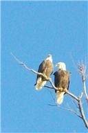 192 Diamond Point Drive - Photo 7