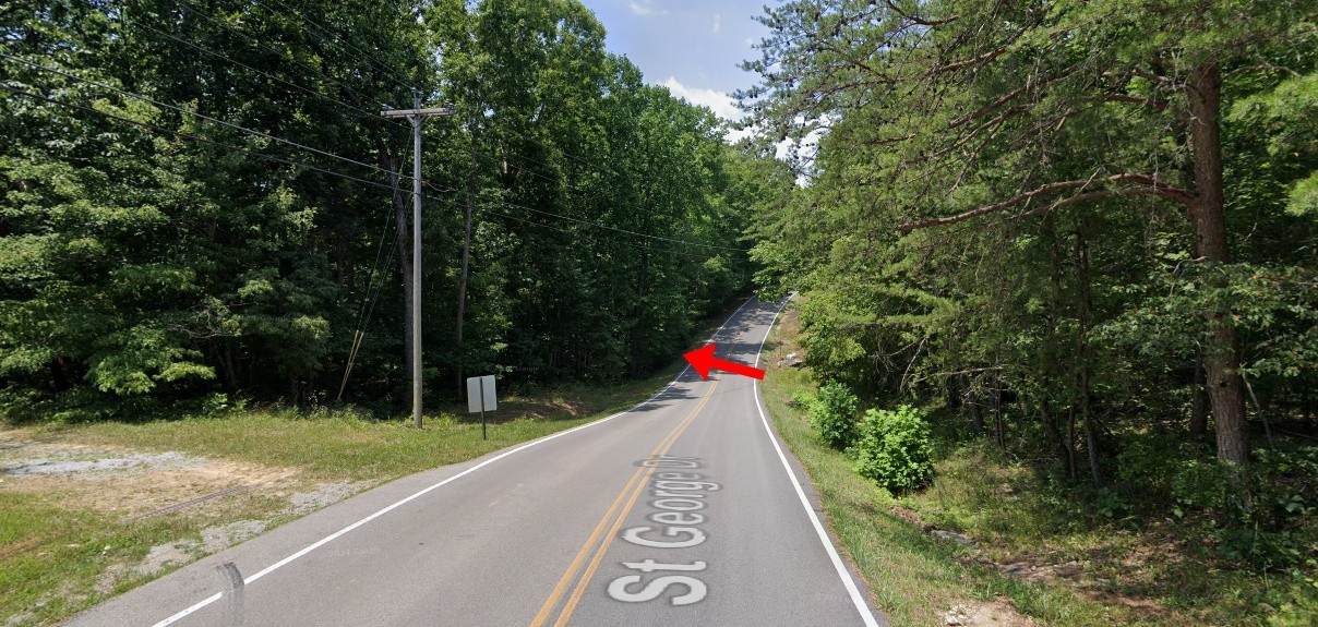 542 Saint George Dr - Photo 1