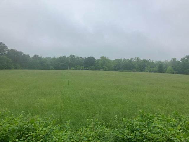 0 Jones Creek Road - Photo 1