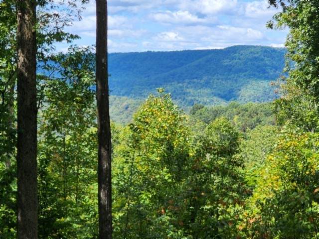 0 Tomahawk Rd - Photo 1