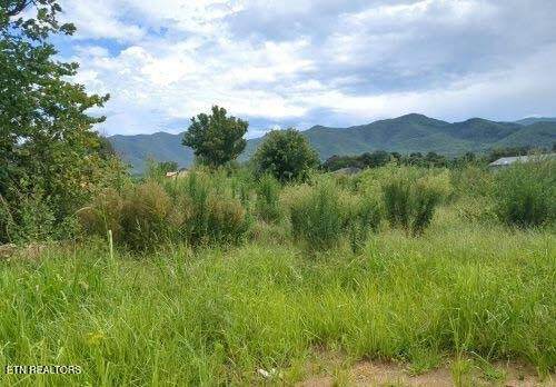 290 Bill Mauk Rd - Photo 1