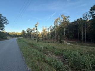 0 Jones Creek Rd - Photo 1