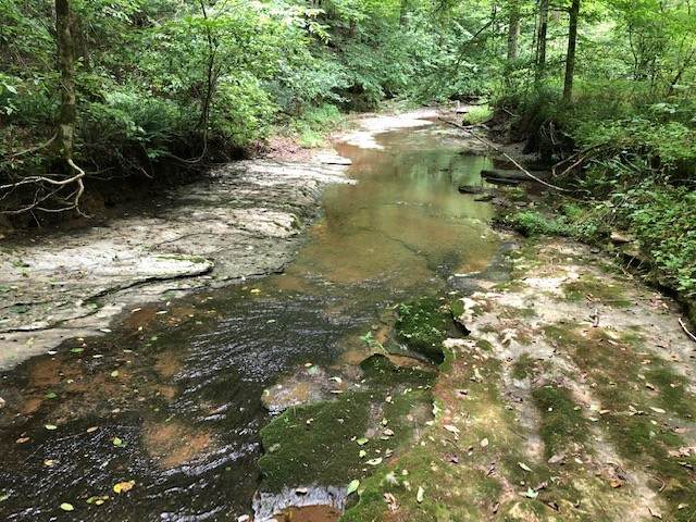 2270 Shuler Branch Rd - Photo 1