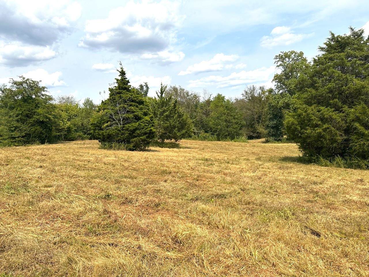 1 Burgess Gower Rd - Photo 1