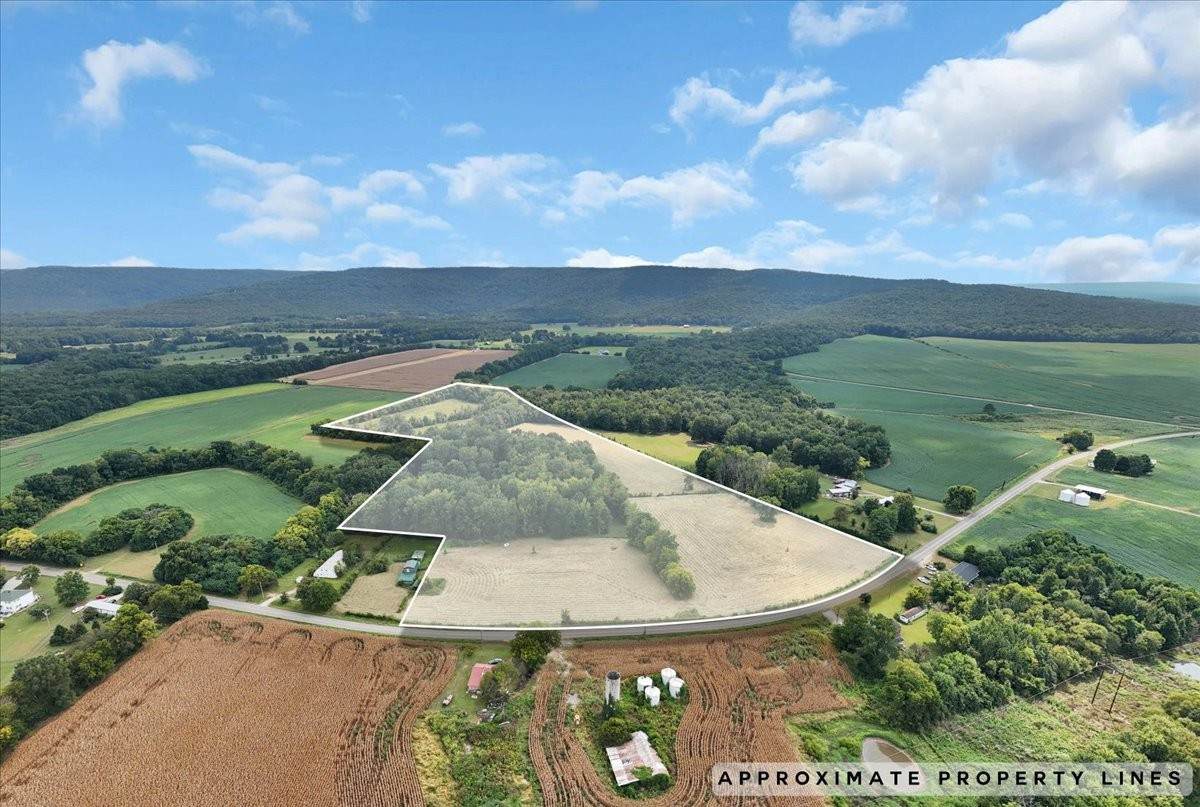 8084 Old Alto Hwy - Photo 1