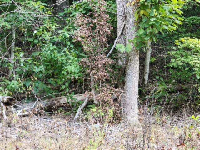 0 Apache Rd - Photo 1