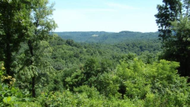 0 Rock Fish Lane - Photo 1