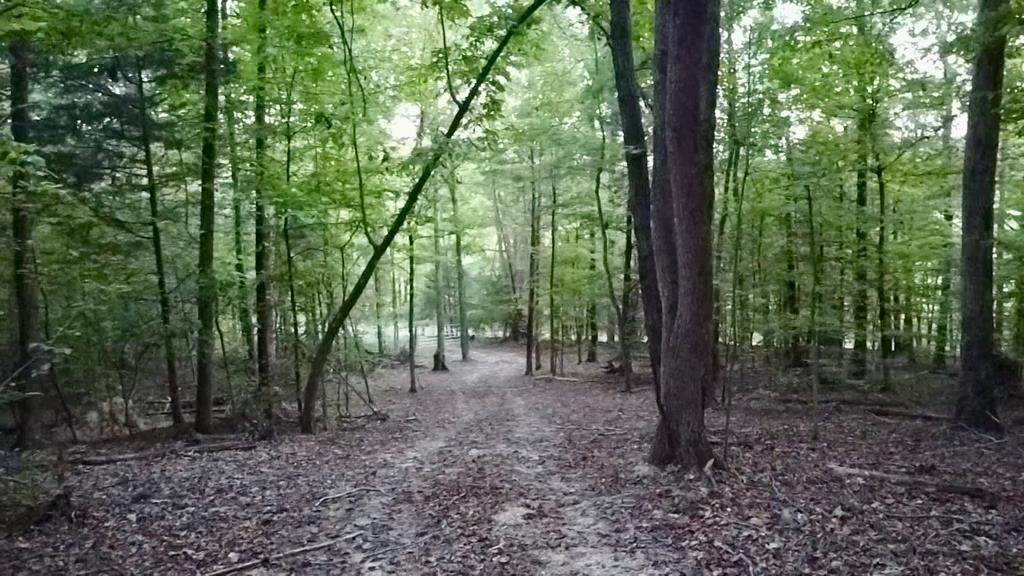 0 Sales Landing Rd - Photo 1