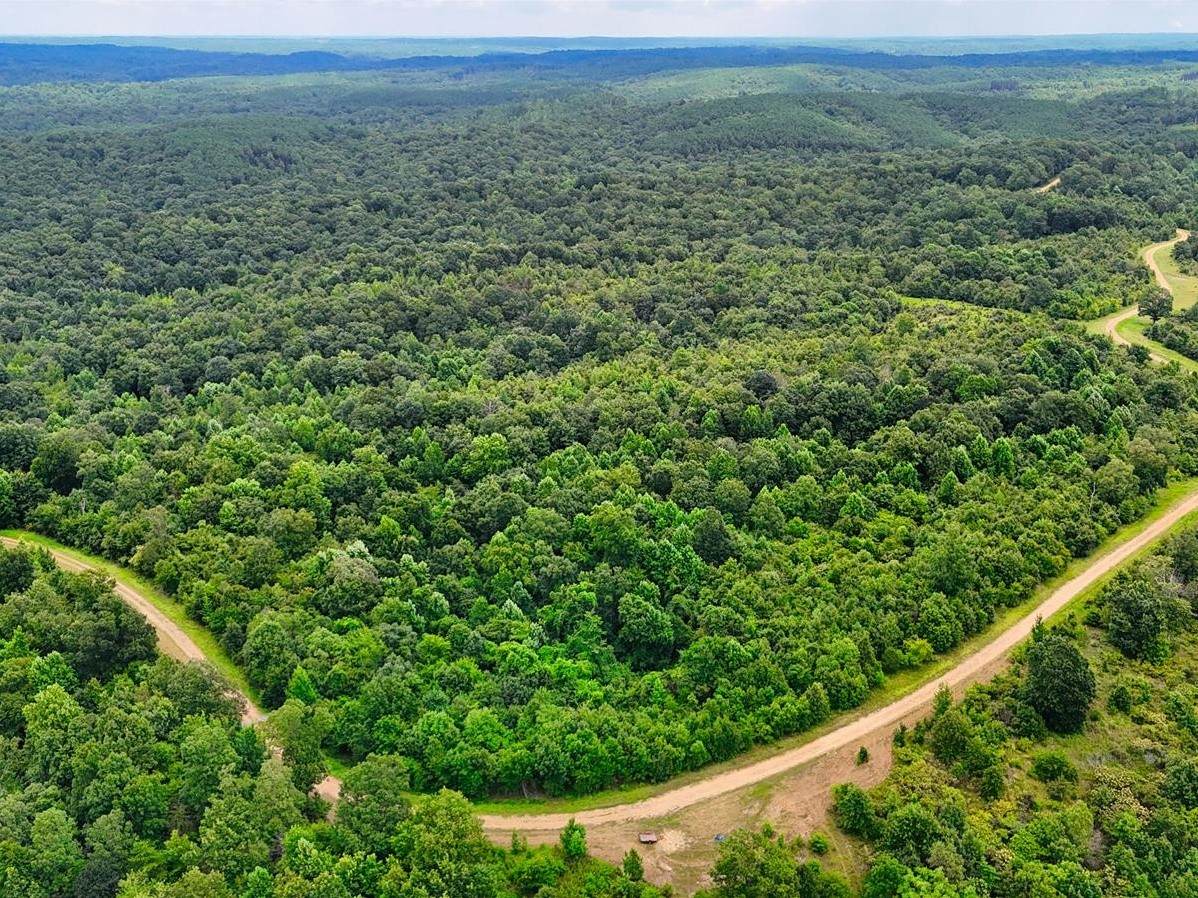 0 Shores Trail - Photo 1