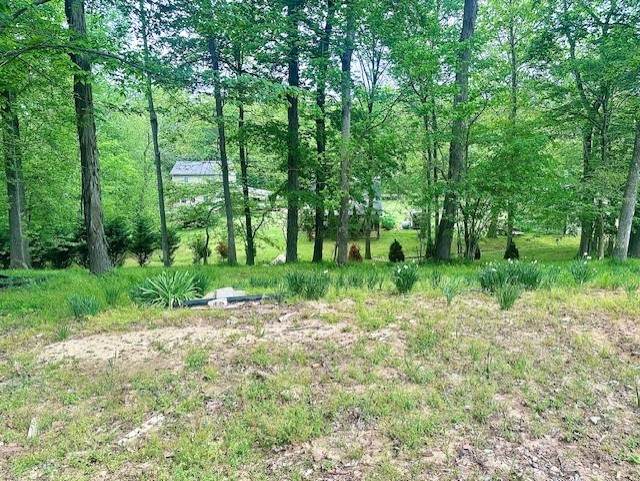 110 Fox Squirrel Dr - Photo 1