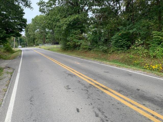 0 Dotsonville Road - Photo 1