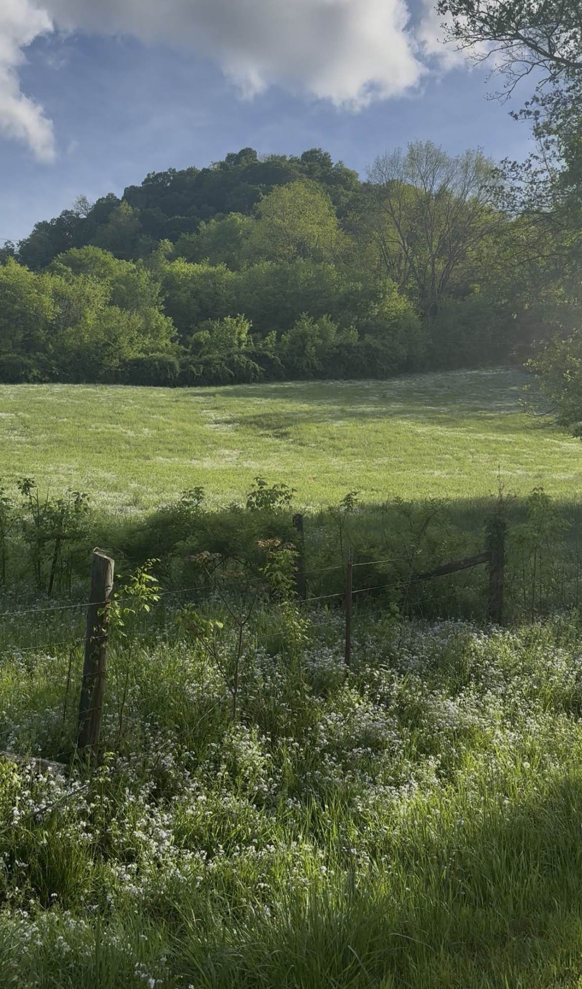0 Little Salt Lick Road - Photo 1