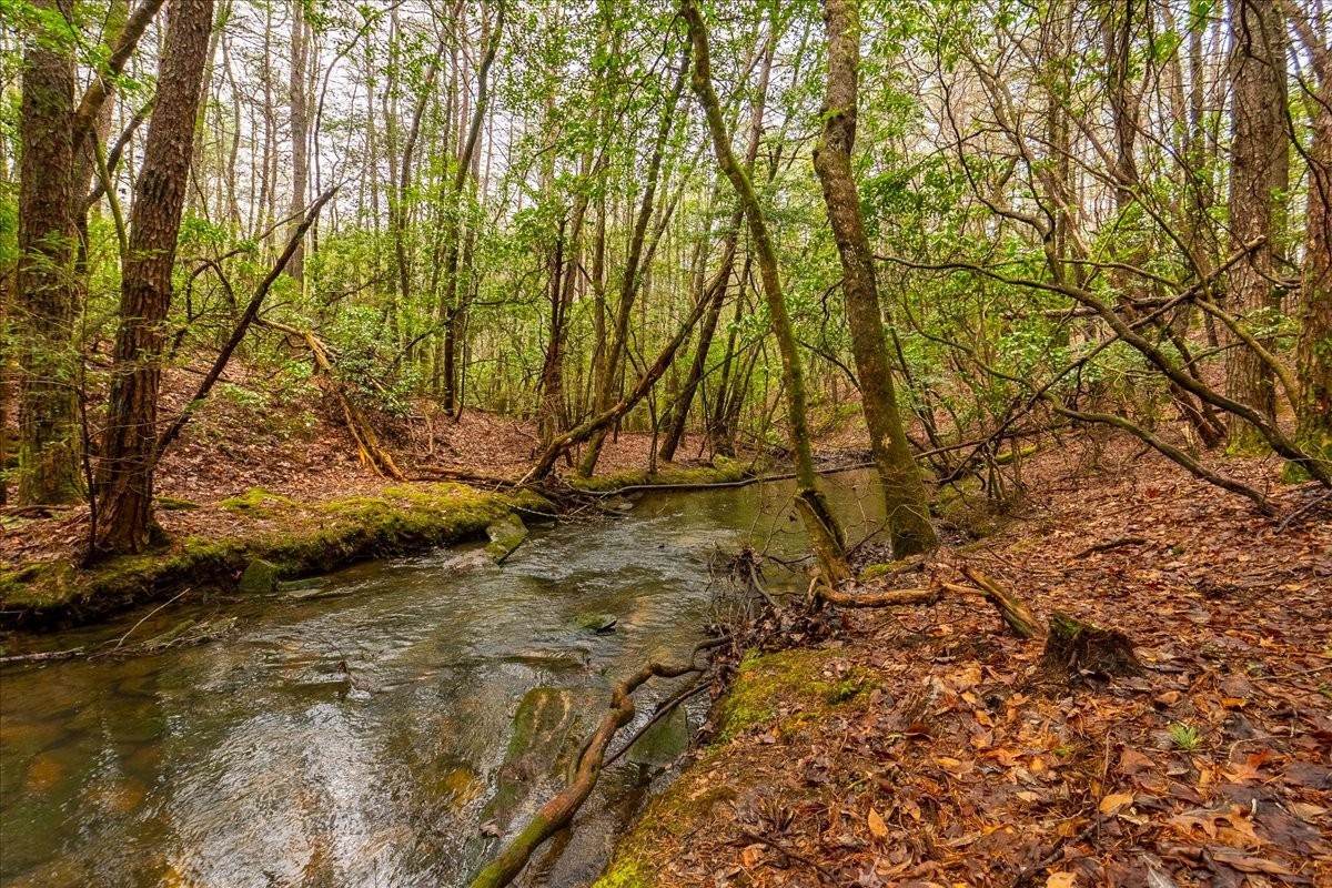 0 Timberwood Trace - Photo 1